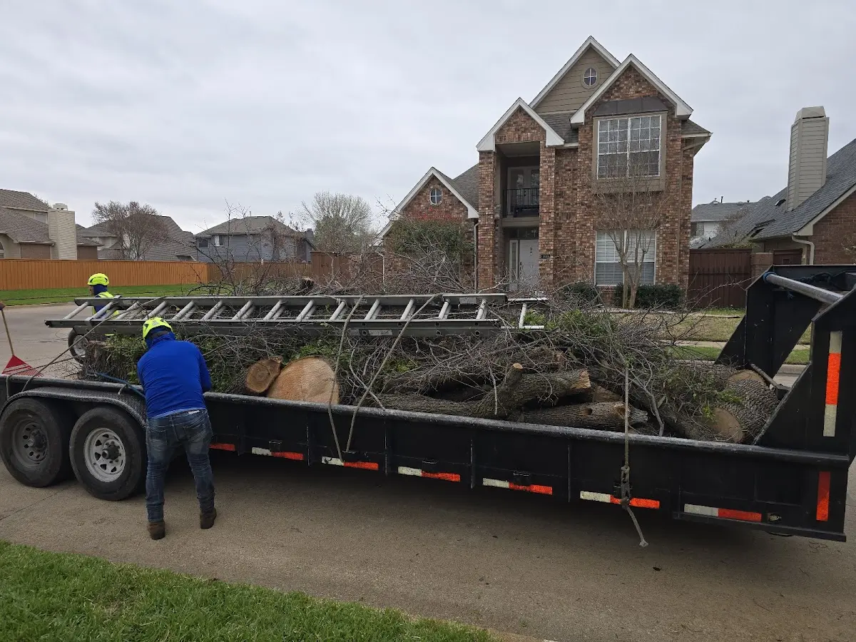 Expert Tree Fertilization with proper safety equipment in Schwertner